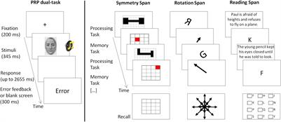 Inter-Individual Differences in Executive Functions Predict Multitasking Performance – Implications for the Central Attentional Bottleneck